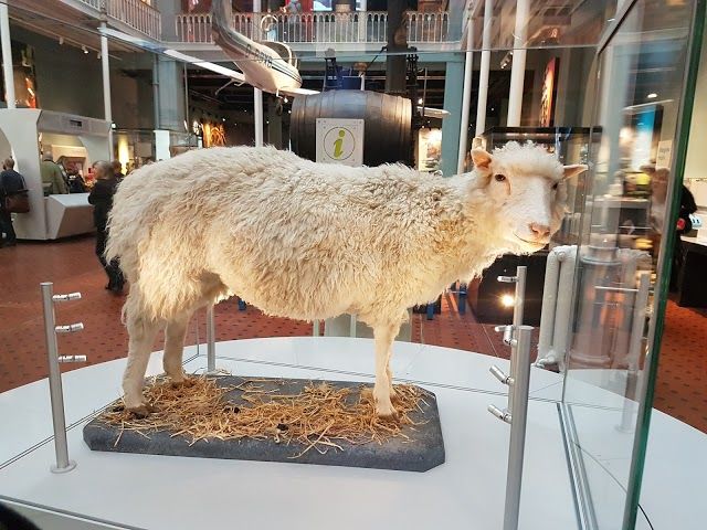 National Museums of Scotland